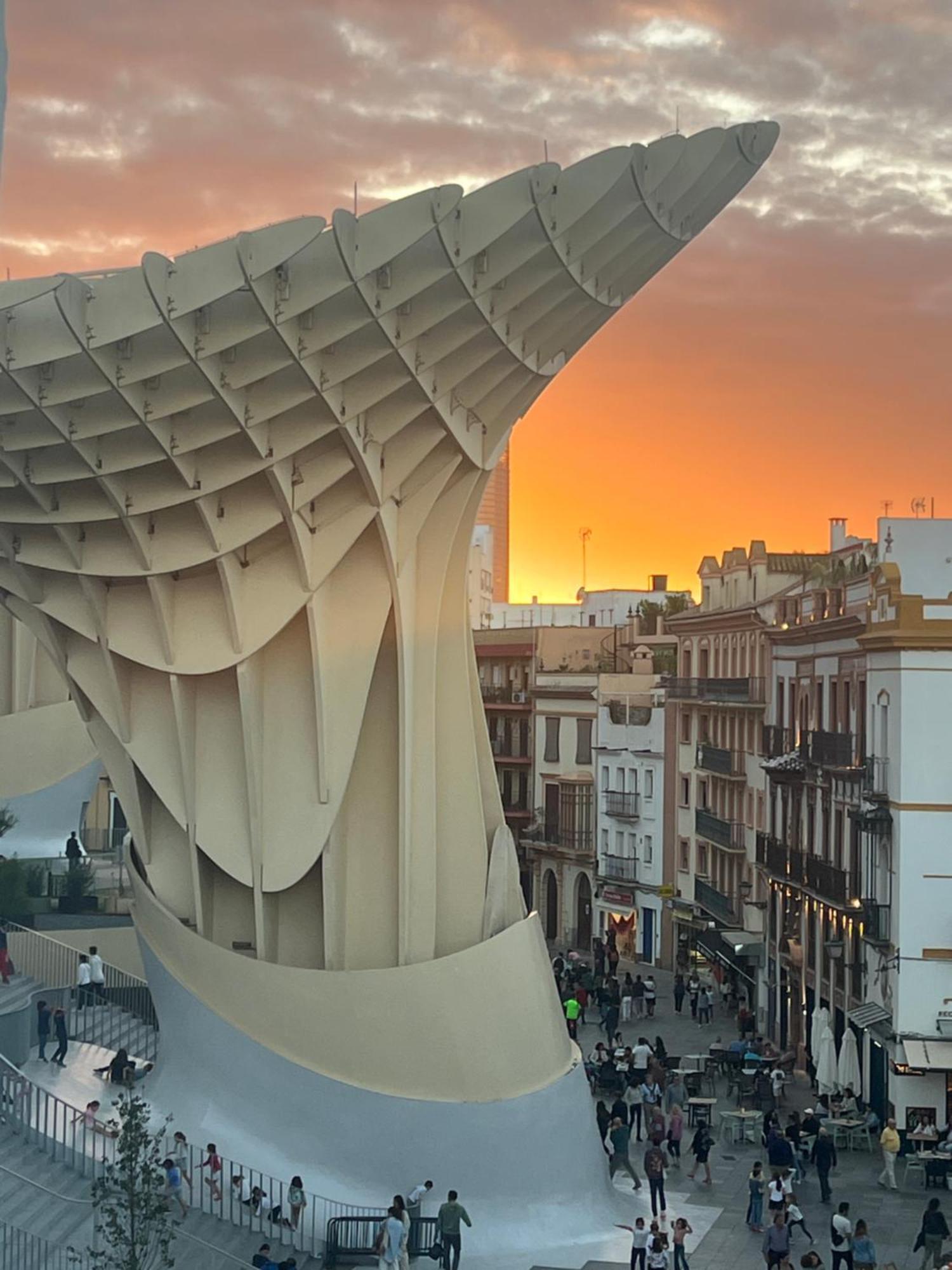 Appartement Calma Places - San Eloy 20