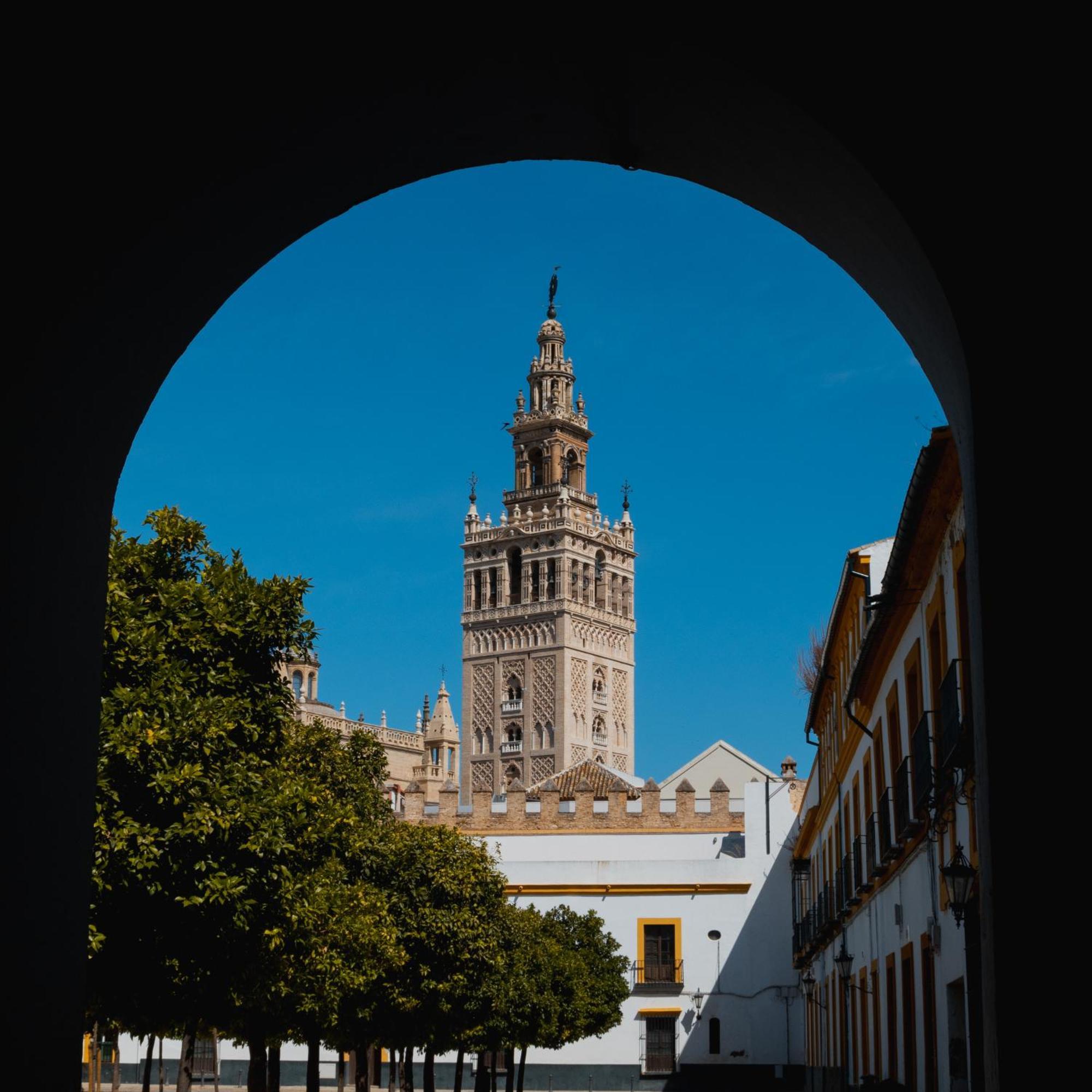 Calma Places - San Eloy 20 Appartement